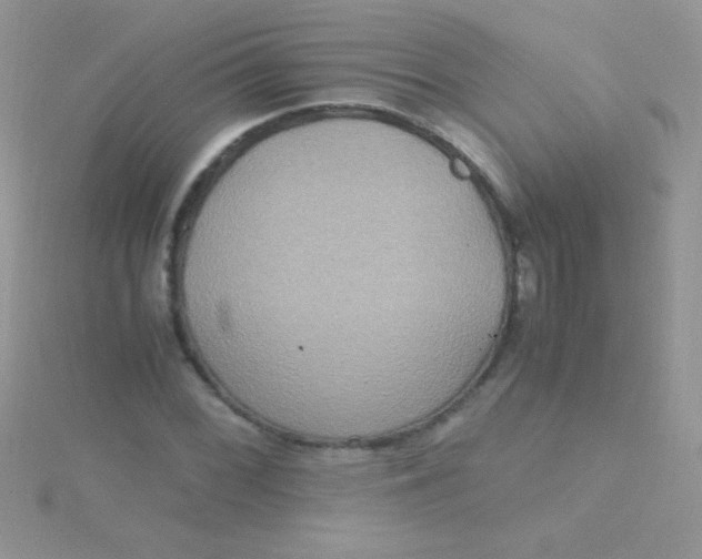 X0000115391068200911241242