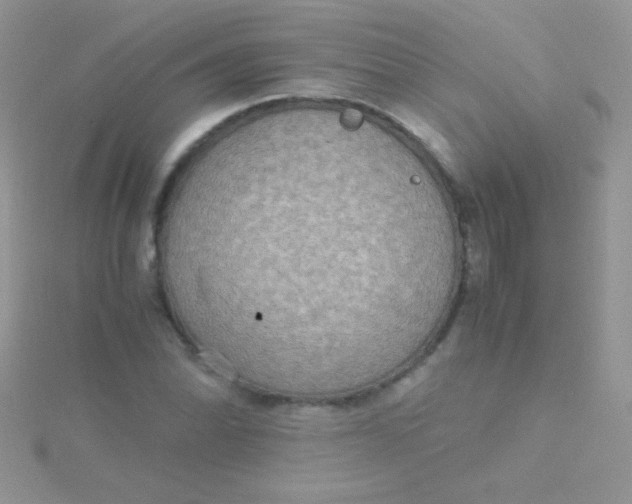 X0000115391070200911241242