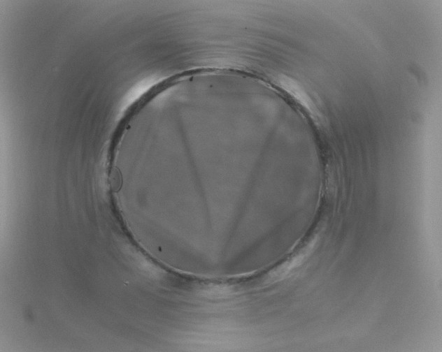 X0000115391071200911241242