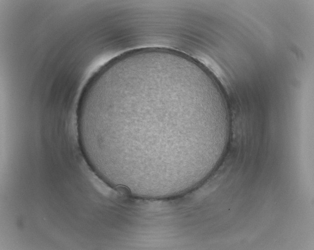 X0000115391072200911241242