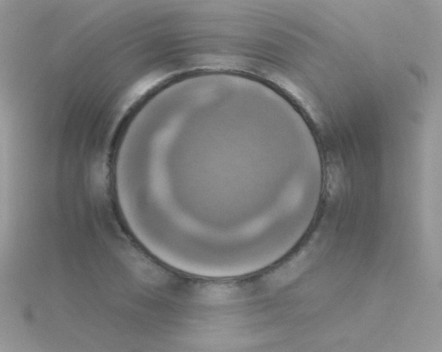 X0000115391074200911241242