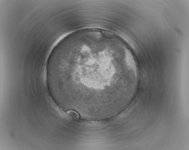 X0000115391076200911241241