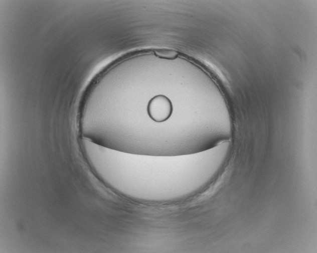 X0000115391077200911241241