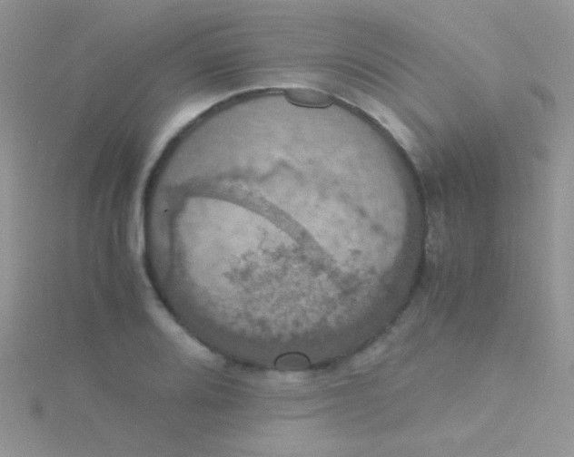 X0000115391080200911241241