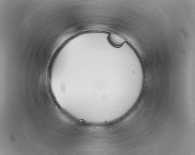 X0000115391082200911241241