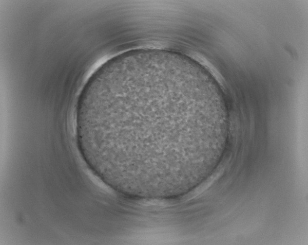 X0000115391083200911241241