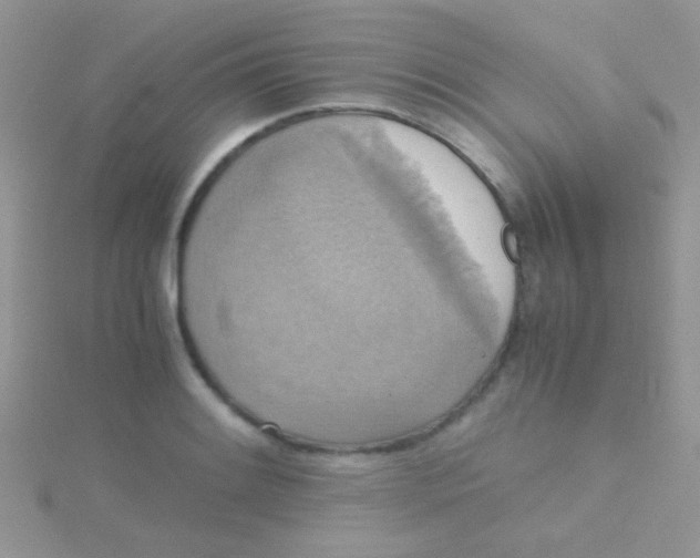 X0000115391084200911241241