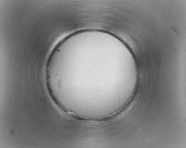 X0000115391085200911241241