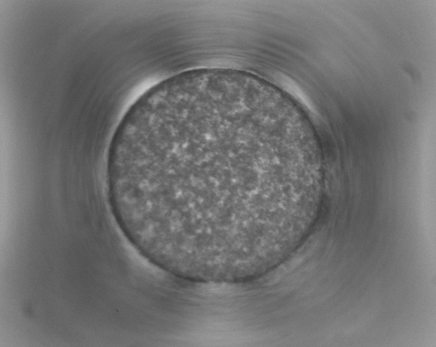 X0000115391087200911241241