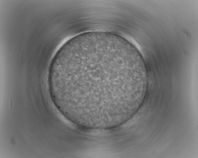 X0000115391091200911241241