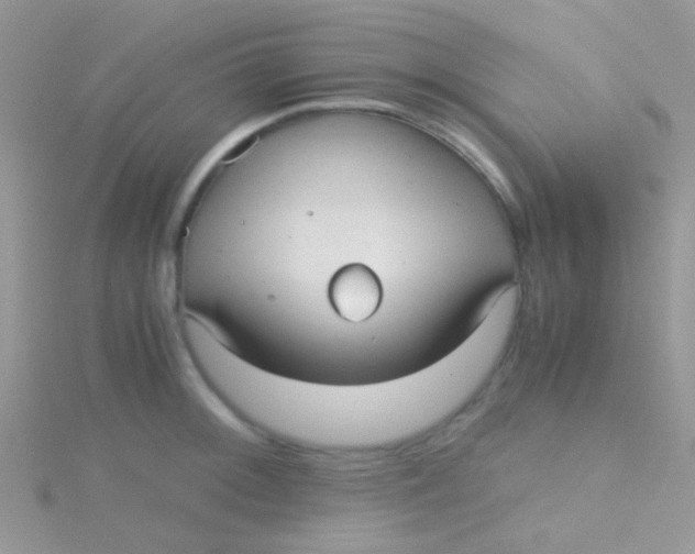 X0000115391092200911241241