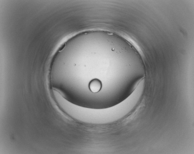 X0000115391093200911241241