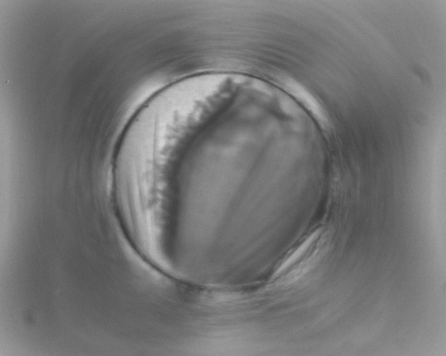 X0000115391095200911241241