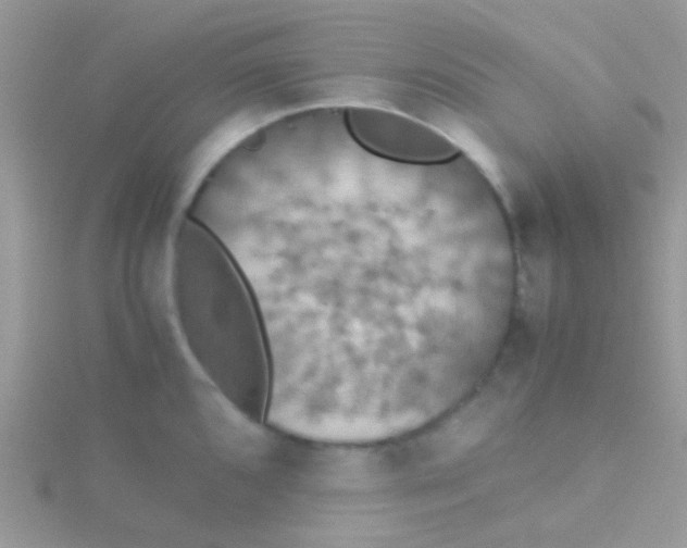 X0000115391096200911241241