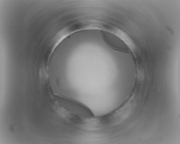 X0000115391097200911241241