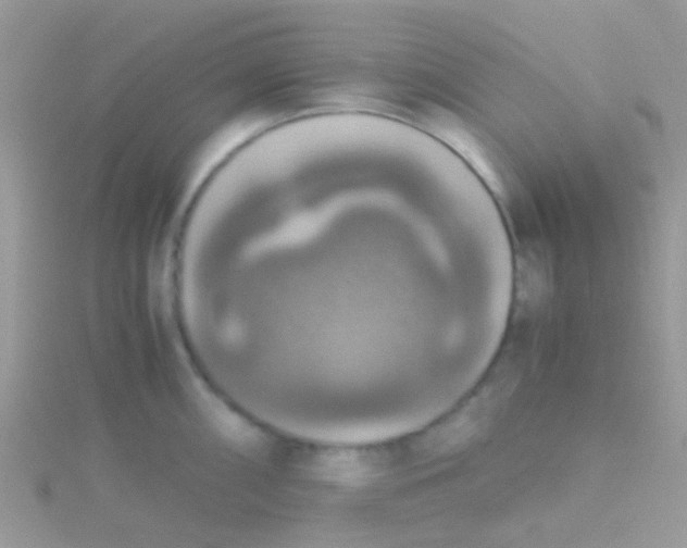 X0000115391098200911241241