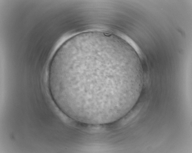 X0000115391099200911241241