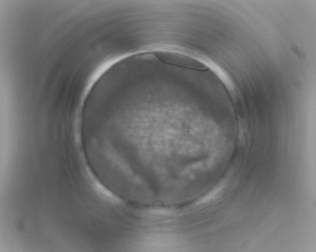 X0000115391102200911241241