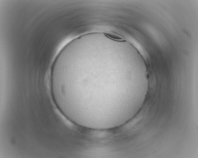 X0000115391103200911241241