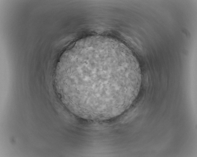 X0000115391105200911241241