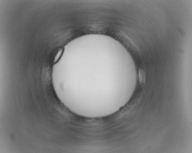 X0000115391107200911241241