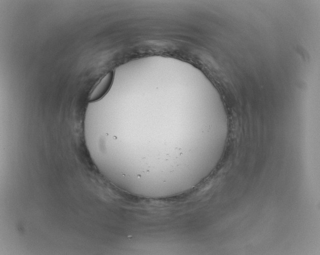 X0000115391109200911241241