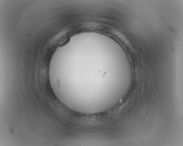 X0000115391111200911241241