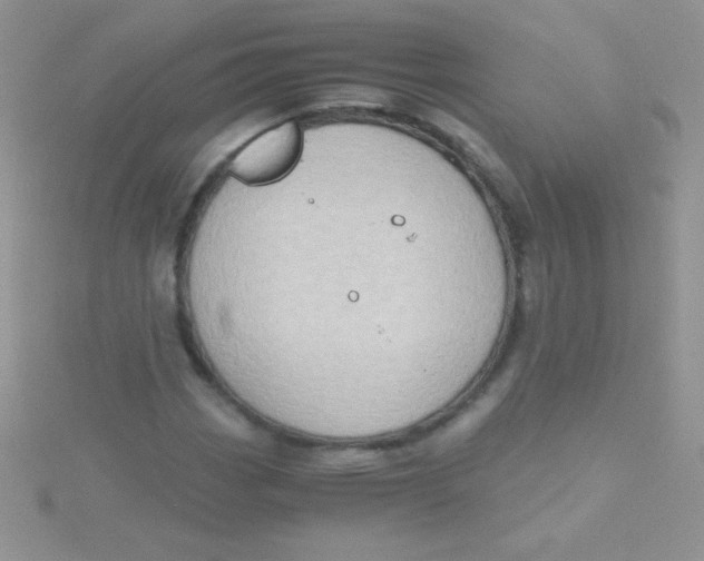 X0000115391113200911241241