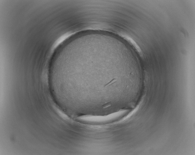 X0000115391114200911241241