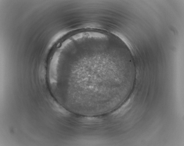 X0000115391115200911241241