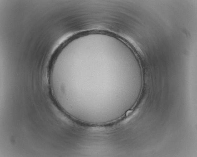 X0000115391118200911241241