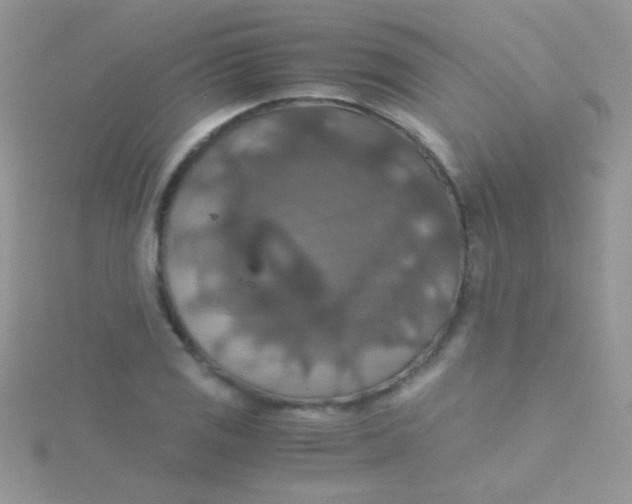 X0000115391125200911241241