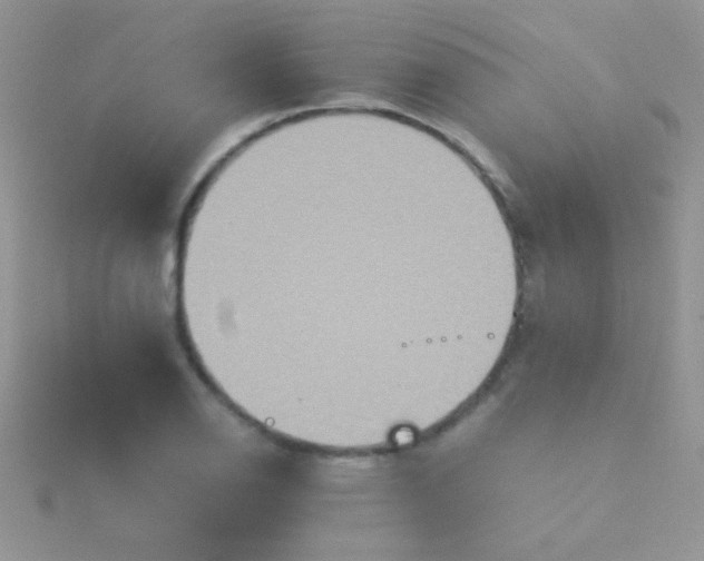 X0000115391126200911241241