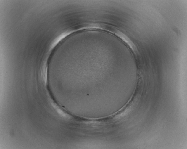 X0000115391127200911241241