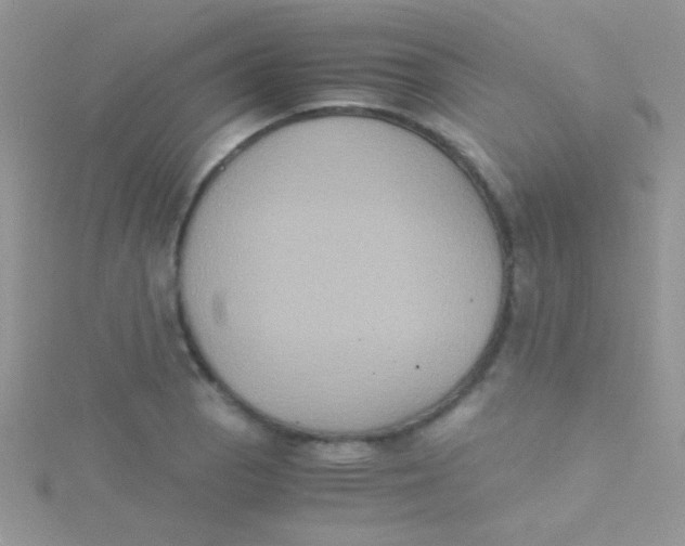 X0000115391129200911241241