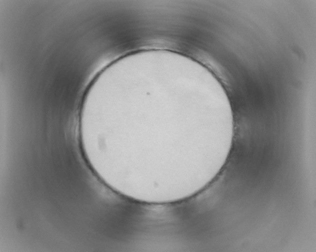 X0000115391130200911241241