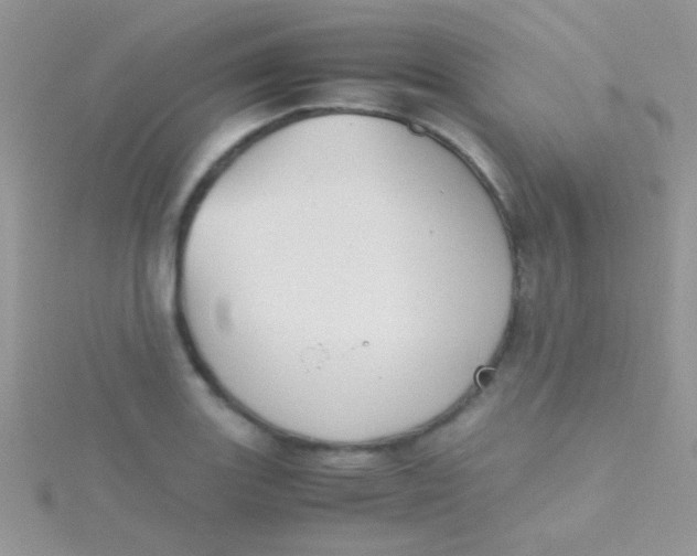 X0000115391131200911241241