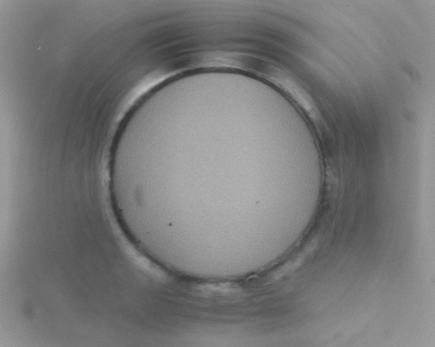 X0000115391133200911241241