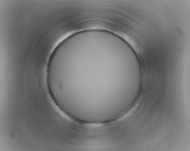 X0000115391134200911241241