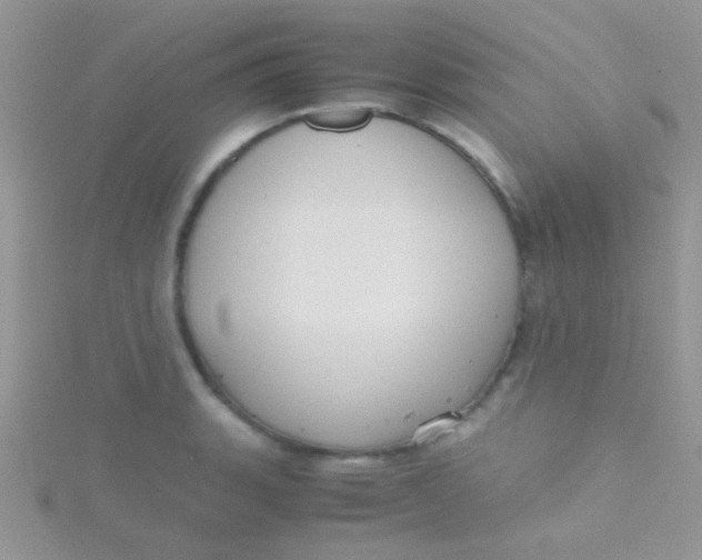 X0000115391135200911241241