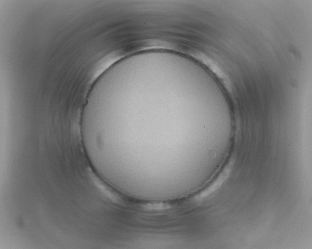 X0000115391137200911241241