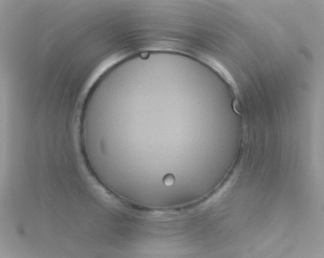 X0000115391138200911241241