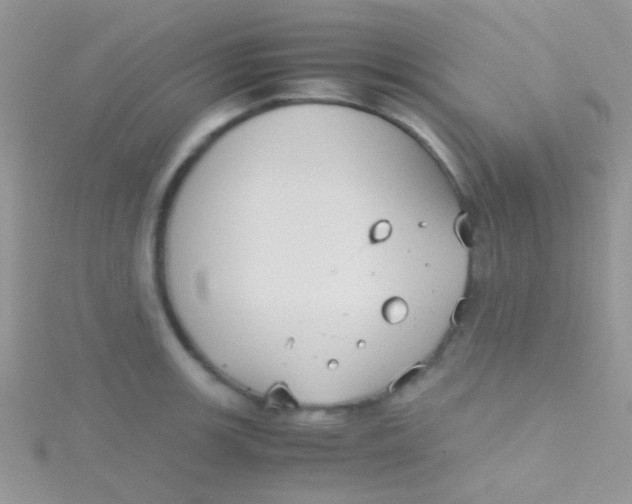 X0000115391139200911241241