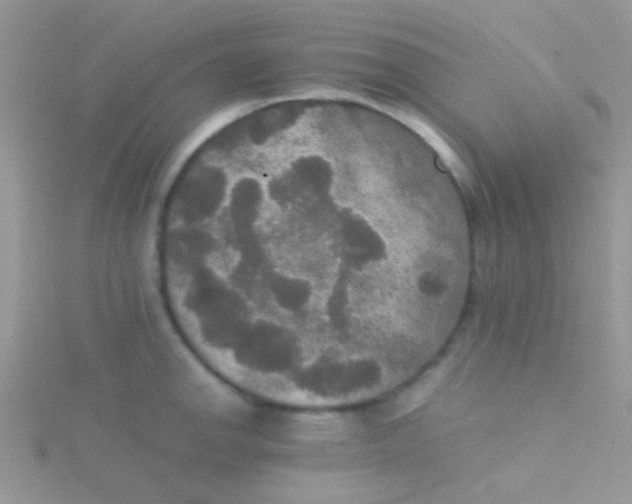 X0000115391142200911241241