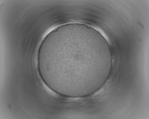 X0000115391143200911241241