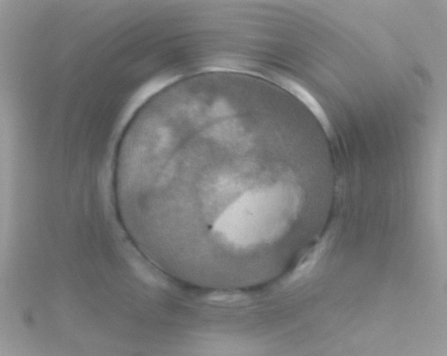 X0000115391146200911241241