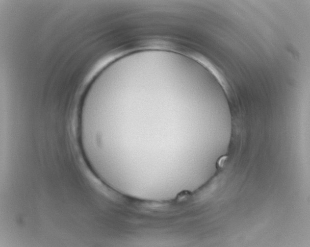 X0000115391147200911241241