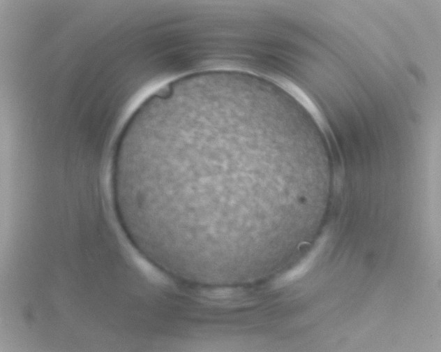 X0000115391149200911241241