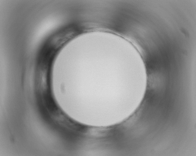 X0000115391150200911241241