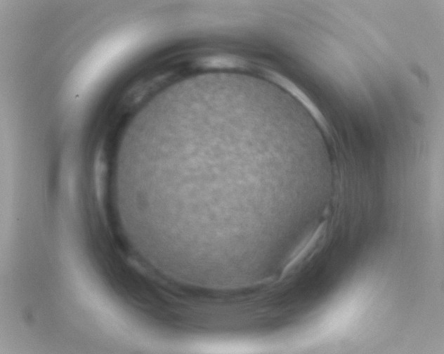 X0000115391151200911241241